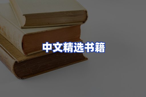 中文精选书籍
